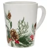 Coupon ⭐ Biltmore® Holiday Mug 🤩